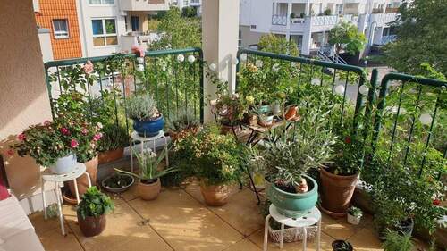 Balkon - 