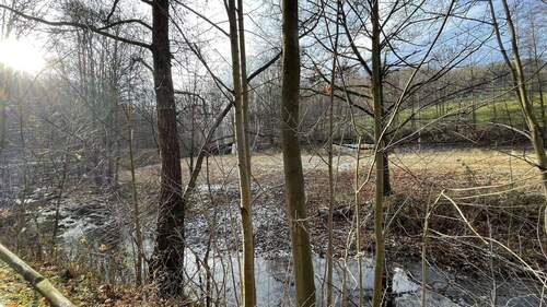 Landwirtschaftsfläche - 