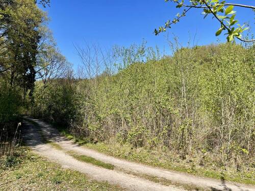 Kein Abriss von Altbestand - 