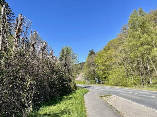 Direkt an der Hamburger Landesgrenze - 