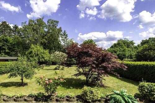 Blick in den Garten - 