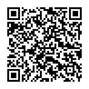 QR-Code - 