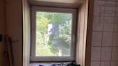 Blick in den Garten - 