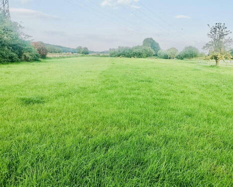 Bild 1 - PRIVAT: Zwei große Baugrundstücke mit unverbaubarem Wiesenblick - Nur 5 Min. zum See! KP ab 85.000 €