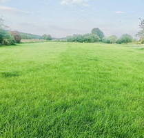 PRIVAT: Zwei große Baugrundstücke mit unverbaubarem Wiesenblick - Nur 5 Min. zum See! KP ab 85.000 € - Grünheide Ortsteil Kagel