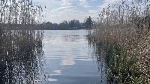 Bild 2 - Grundstück zum Kaufen in Grünheide Ortsteil Kagel