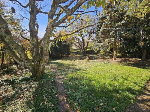 Blick in den Garten - 