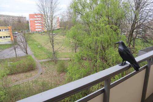 Balkonblick - 
