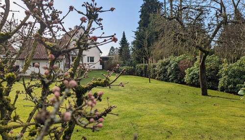 Ansicht von Hinten - Einfamilienhaus mit 120,00 m&sup2; in Celle / Vorwerk zum Kaufen