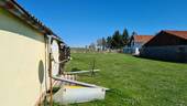 Blick in den hinteren Garten - 