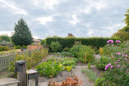 Baugrundstück hinten - 