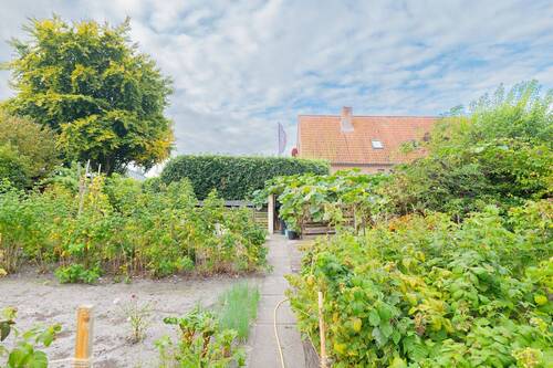 Baugrundstück hinten - 