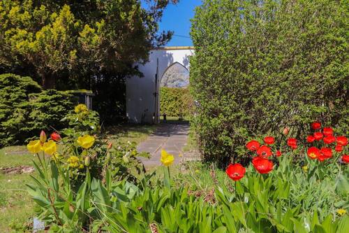 Garten - 