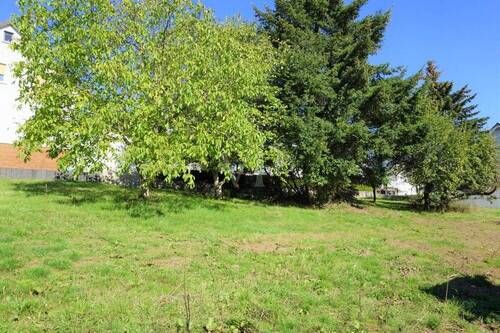 Ansicht 3 - 