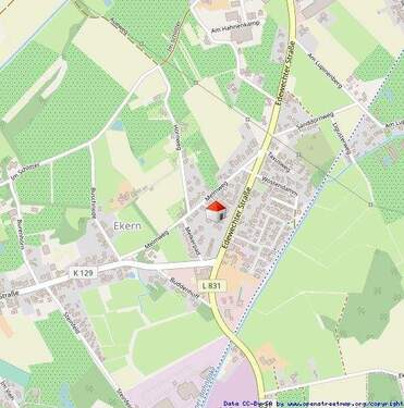 Makroansicht - 