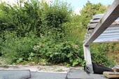 Bepflanzter Hang - 