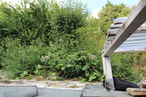 Bepflanzter Hang - 