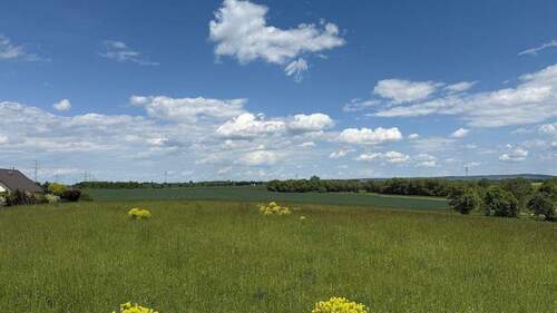 2025-05-26 13.02.27 - 