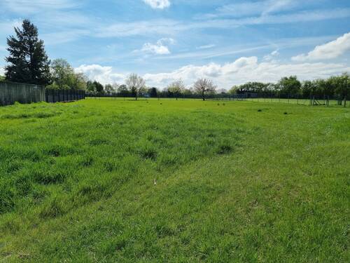 Blick vom Grundstück nach Süden - Grundstück zum Kaufen in Vettweiß