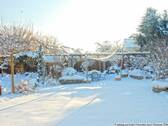 2410_winter_03 - 
