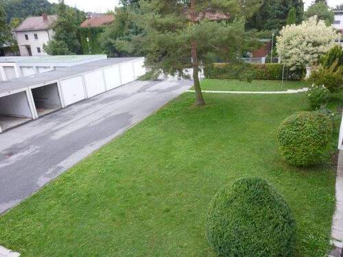 Gemeinschaftsgarten - 