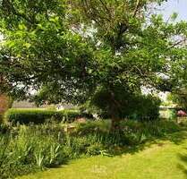 Schkopau OT Hohenweiden: 775 qm Baugrundstück für Haus-Neubau - provisionsfrei + bauträgerfrei - Schkopau-Hohenweiden