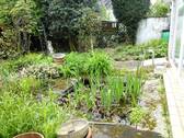  Gartenteich - 