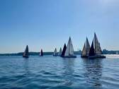 Segelregatta - 