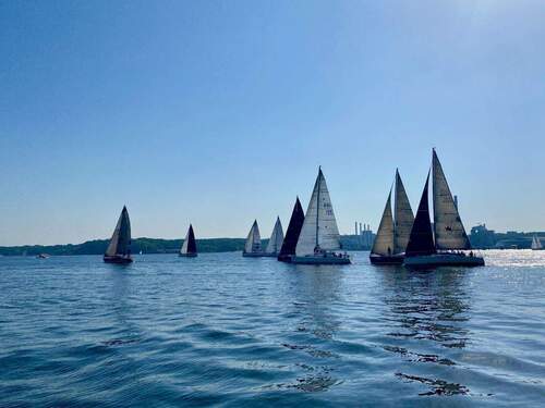 Segelregatta - 