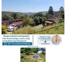 ***Preisreduzierung - Bauplatz mit bestehender Baugenehmigung*** - Königsbach-Stein