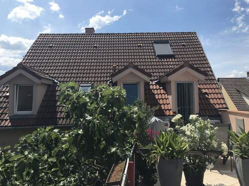 Rückansicht Terrasse - Einfamilienhaus mit 157,00 m&sup2; in Karlsruhe zum Kaufen