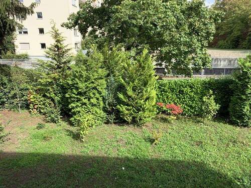 ... Blick ins Grüne - 