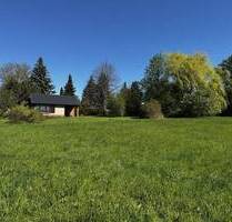 Seltene Gelegenheit für Naturliebhaber - weitläufiges Freizeitgrundstück mit Ferienhaus bei Colditz