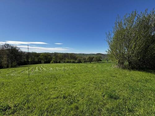 Aussicht B.1 - 