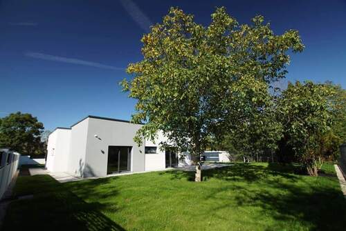 Bild2 - 4 Zimmer Einfamilienhaus zum Kaufen in Halle (Saale)-Dölau