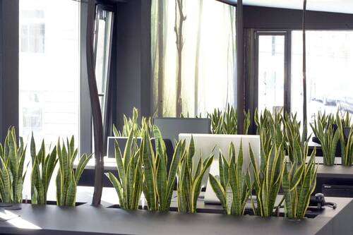 Bild 9 - 