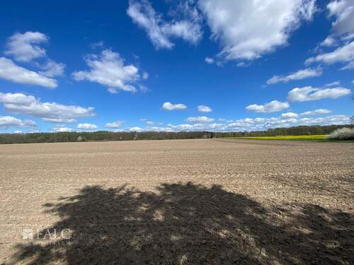 Blick vom Grundstück - 
