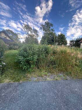 IMG_7254 - ++ 559 m² Grundstück + Bauland in ruhiger Lage ++