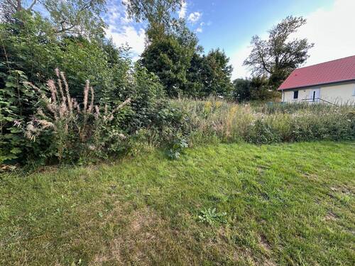 IMG_7259 - Grundstück in Schloditz