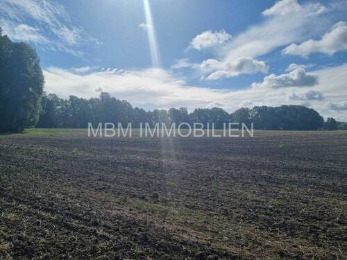 Bild 11 - 