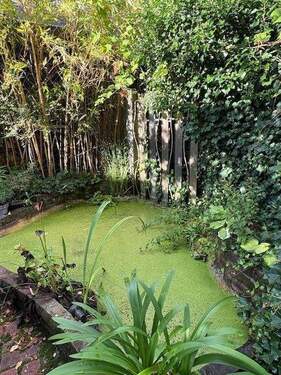 Re-Vitalisierungs-Fläche - 