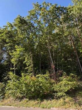 diekt am Waldrand - Einfamilienhaus mit 146,00 m² in Schwarzenbruck zum Kaufen