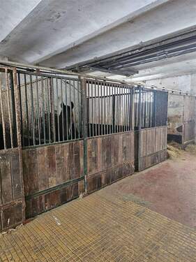 Übergroße Pferdeboxen - 