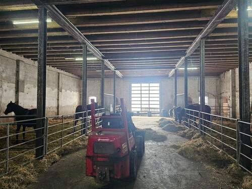 Übergroße Pferdeboxen - 