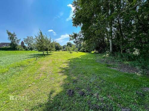 Bild 2 - Grundstück zum Kaufen in Satow