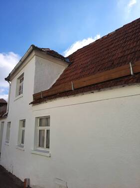 647ea1bd-f977-442b-ba22-57b25c38d56f.jpg - 