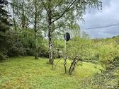 Gewachsener Baum- und Strauchbestand - 