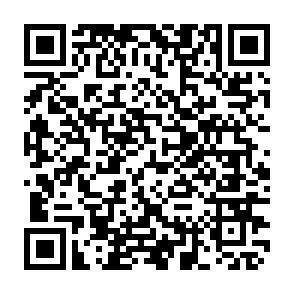 QR-Code - 1 Zimmer Etagenwohnung in Kamenz