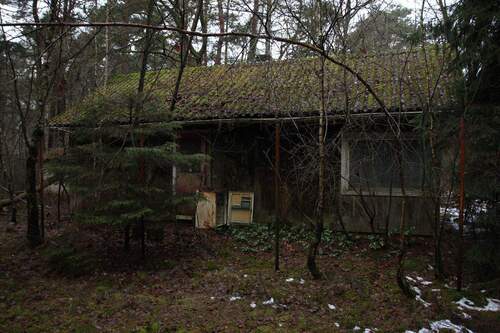 EINGANG - 3 Zimmer Einfamilienhaus in Tostedt