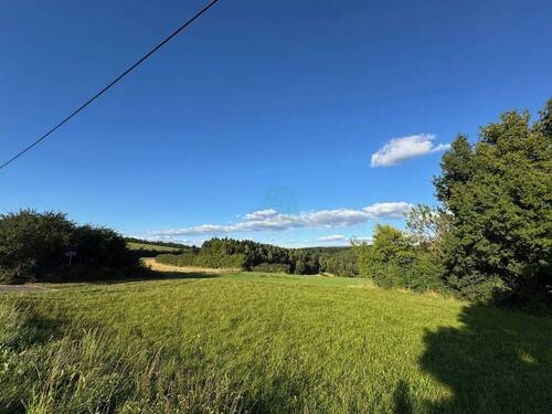 Ansicht - Grundstück zum Kaufen in Hohenburg